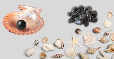 مروارید سیاه